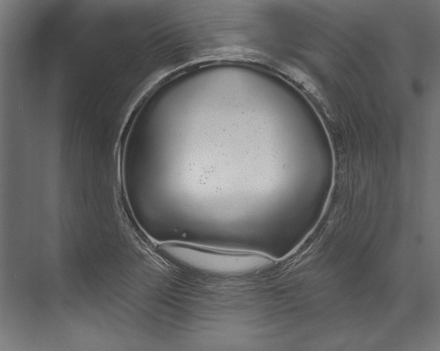 X0000073711275200608241433