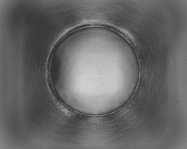 X0000073711279200608241433