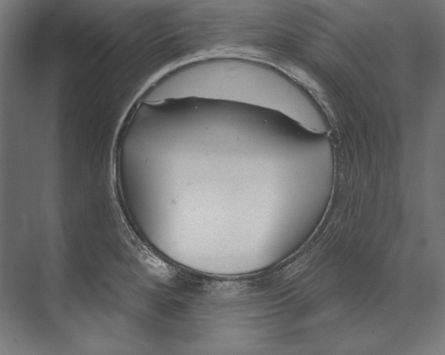 X0000073711280200608241433