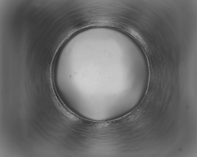 X0000073711283200608241433