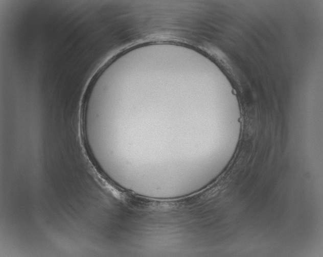 X0000073711286200608241433