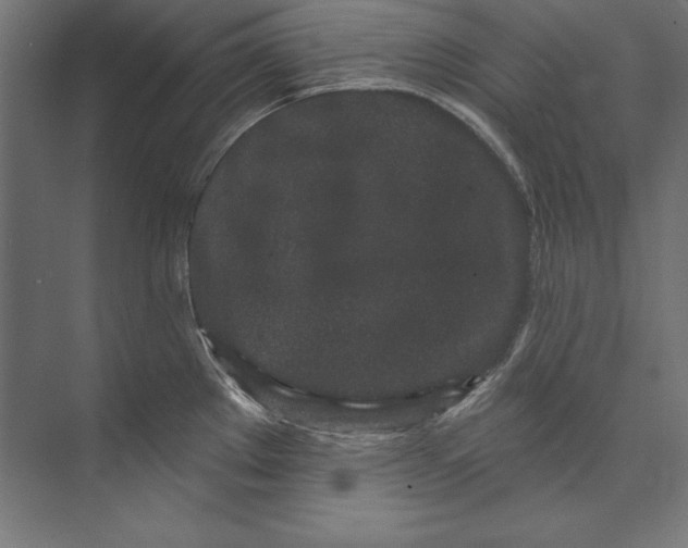 X0000073711289200608241433