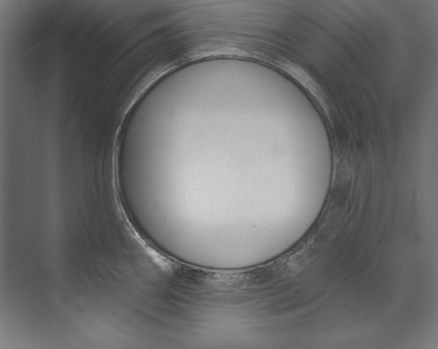 X0000073711290200608241433