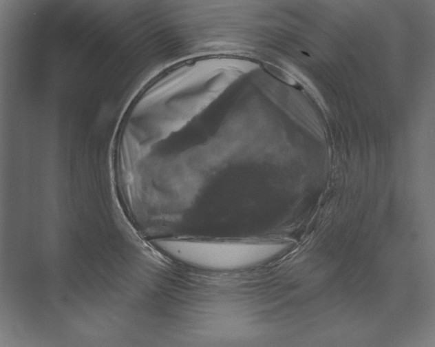 X0000073711291200608241433