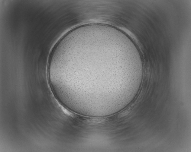 X0000073711294200608241433