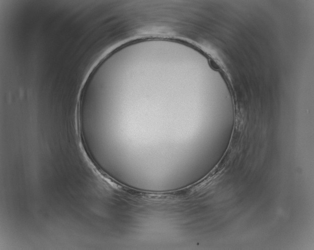 X0000073711295200608241433