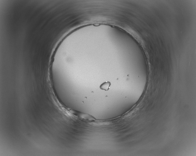 X0000073711296200608241433