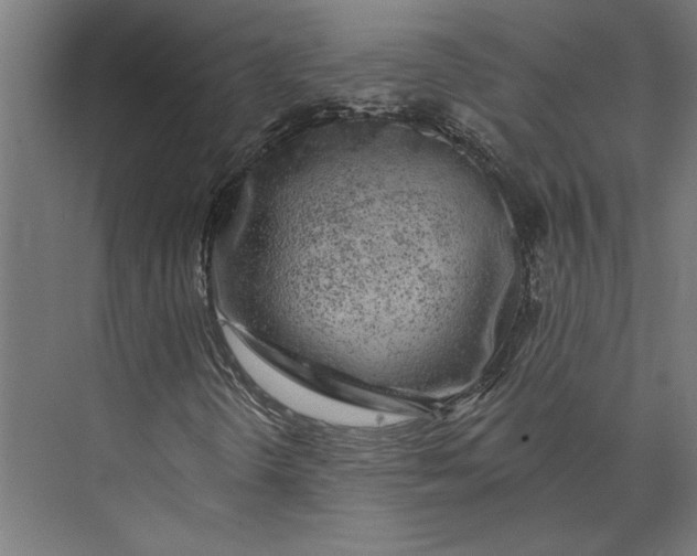 X0000073711298200608241432