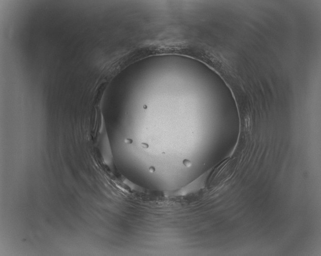 X0000073711300200608241432