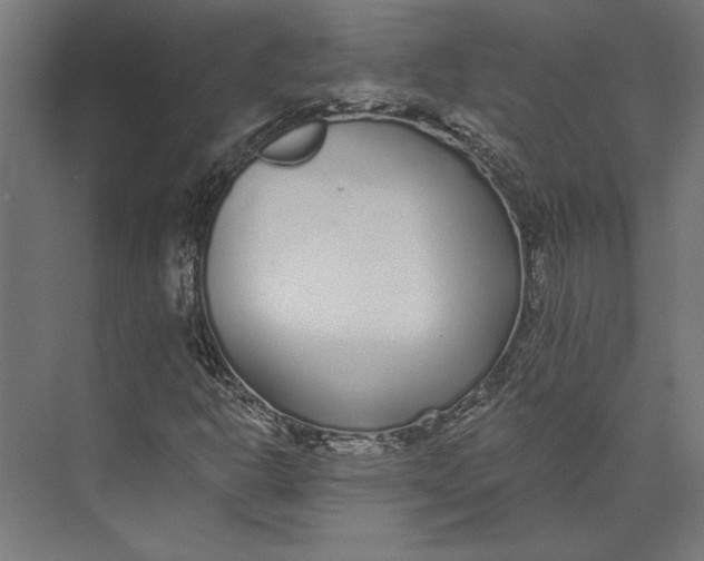 X0000073711302200608241432