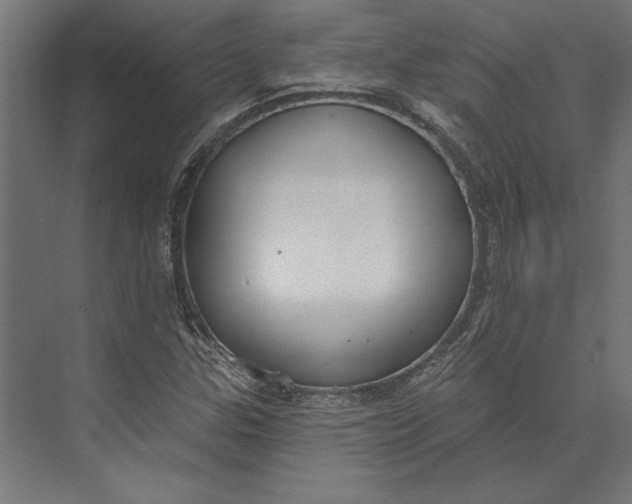 X0000073711307200608241432