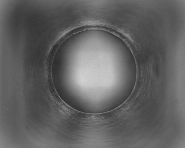 X0000073711311200608241433