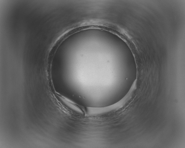 X0000073711312200608241433