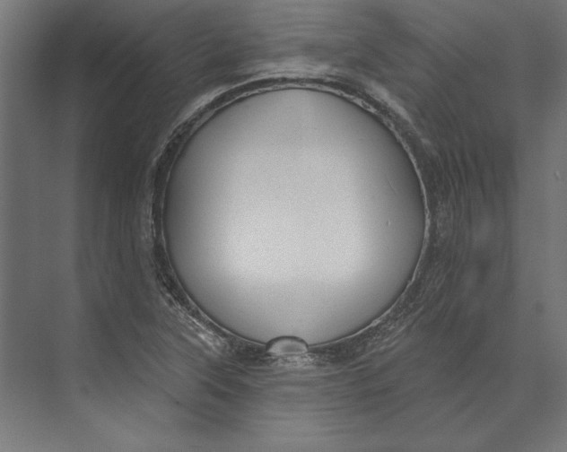 X0000073711315200608241433