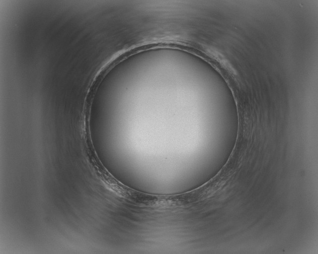 X0000073711316200608241433