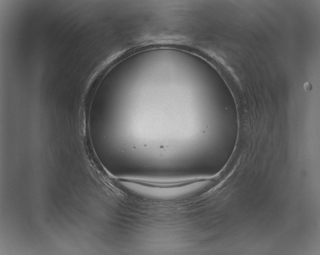 X0000073711317200608241433