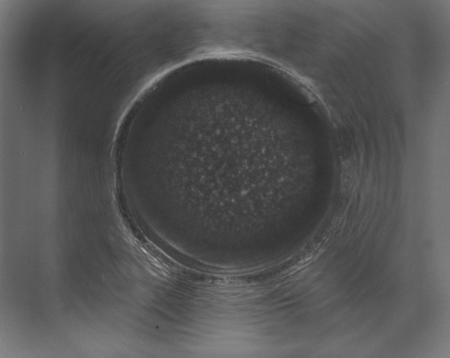 X0000073711319200608241433