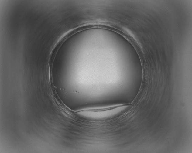 X0000073711320200608241433