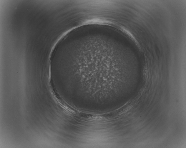 X0000073711323200608241433