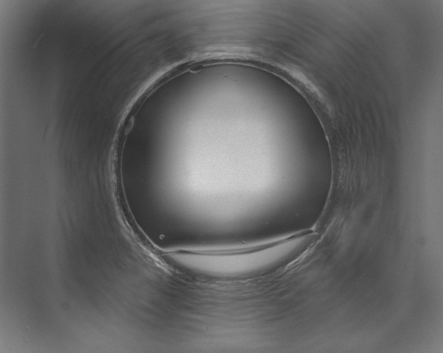 X0000073711325200608241433