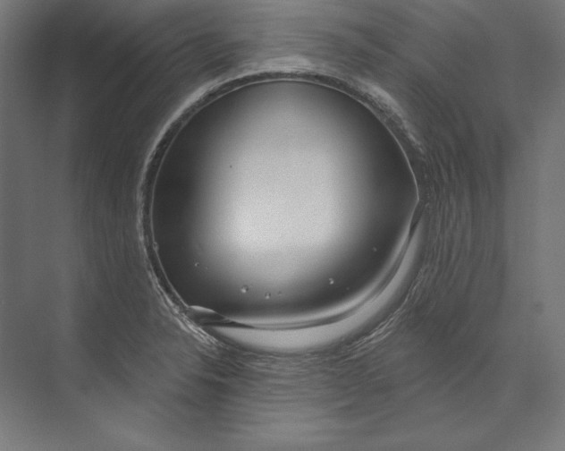 X0000073711326200608241433