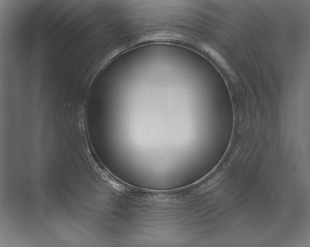 X0000073711329200608241433