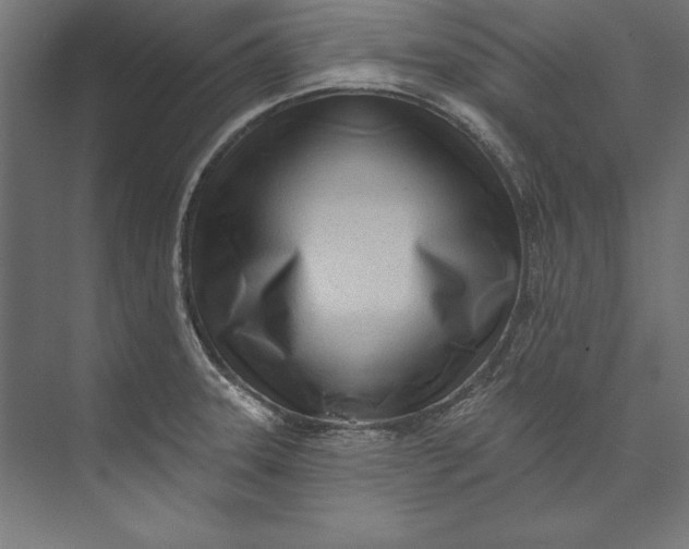 X0000073711331200608241433