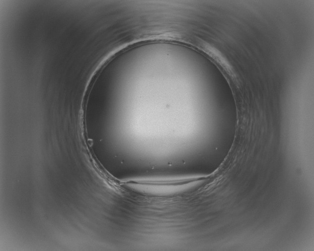 X0000073711332200608241433