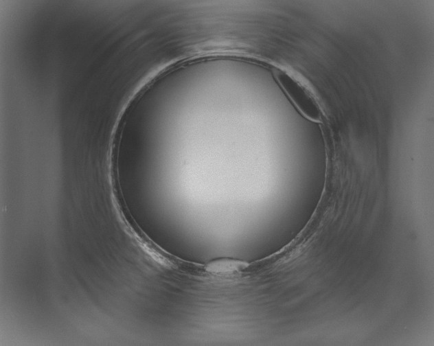 X0000073711333200608241433