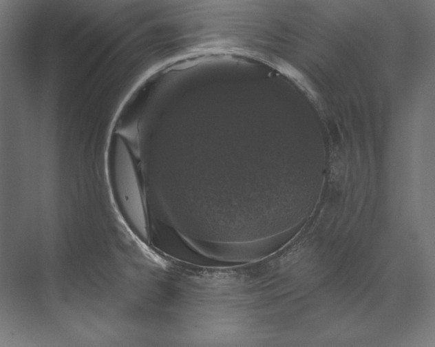 X0000073711334200608241433