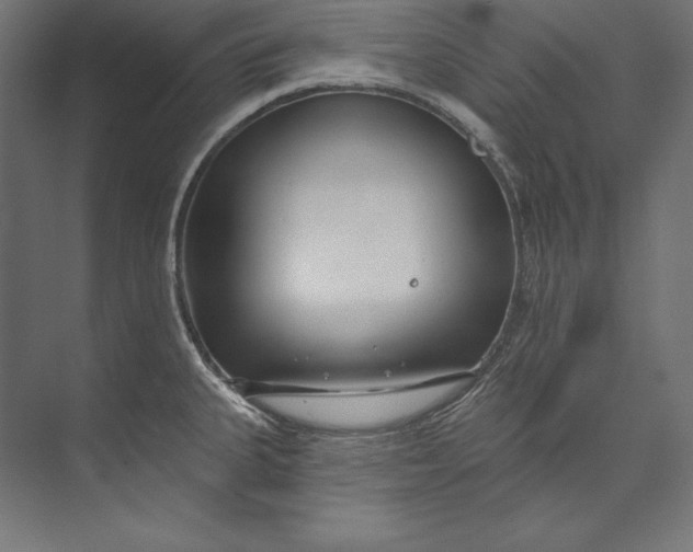 X0000073711335200608241433