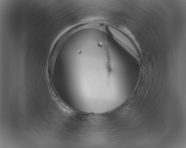 X0000073711336200608241433