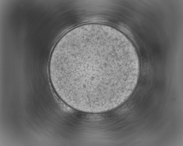 X0000073711338200608241433