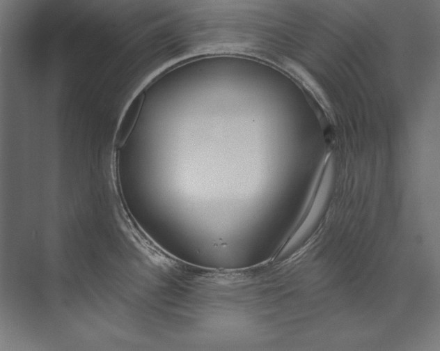 X0000073711340200608241433