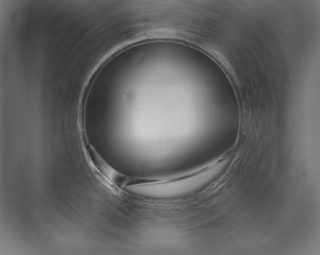 X0000073711342200608241433