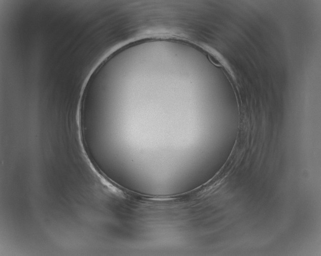 X0000073711343200608241433