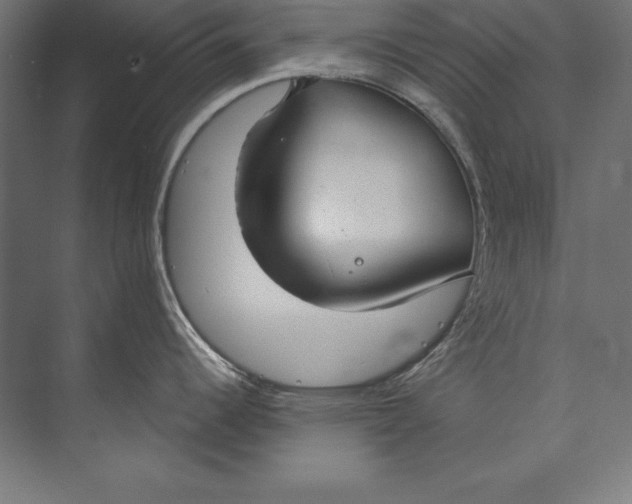 X0000073711344200608241433