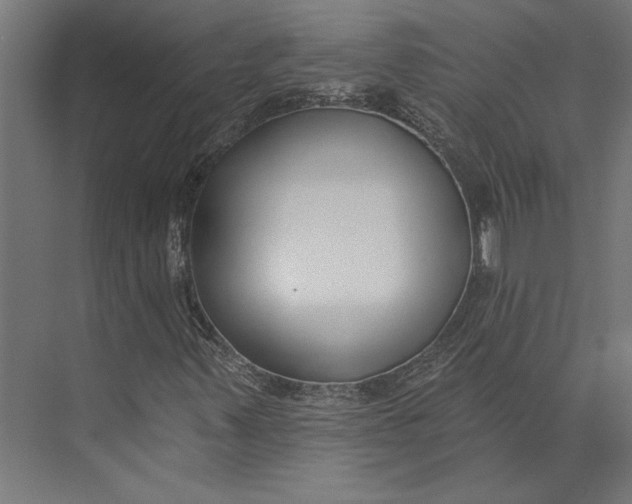 X0000073711347200608241432