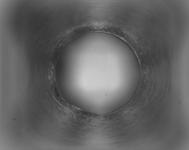 X0000073711349200608241432