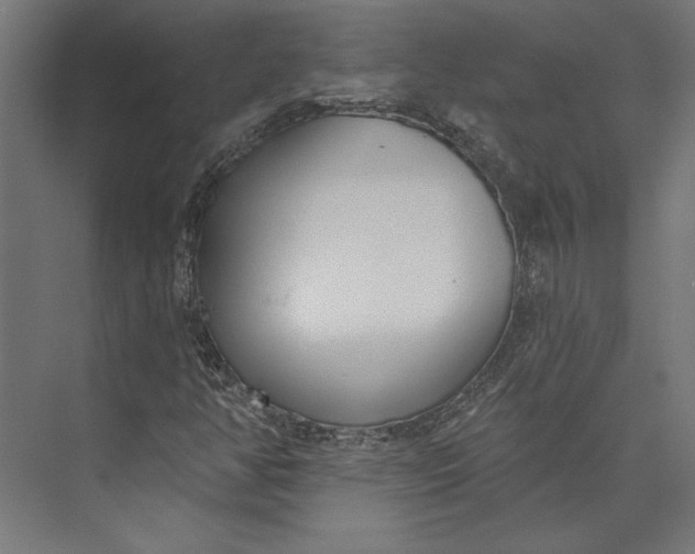 X0000073711350200608241432