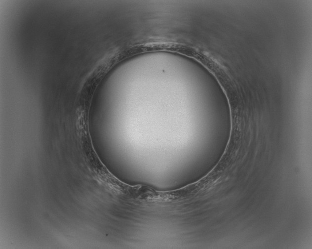 X0000073711351200608241432