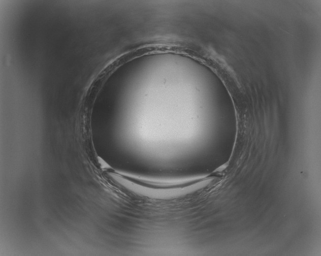 X0000073711352200608241432