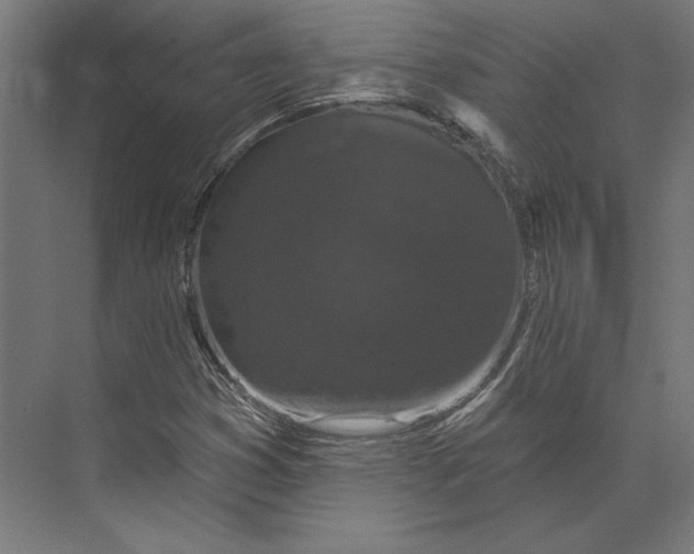 X0000073711353200608241432