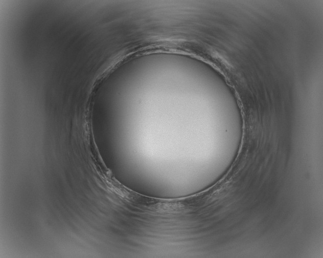 X0000073711354200608241432