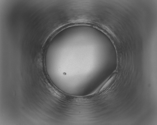 X0000073711356200608241432