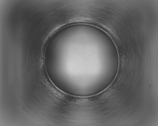 X0000073711363200608241432