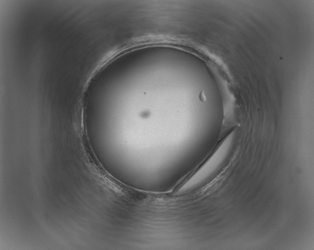 X0000073711365200608241432