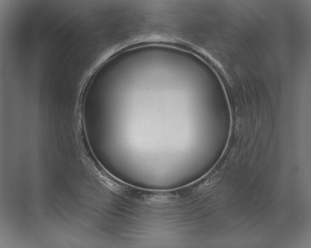 X0000073711367200608241432