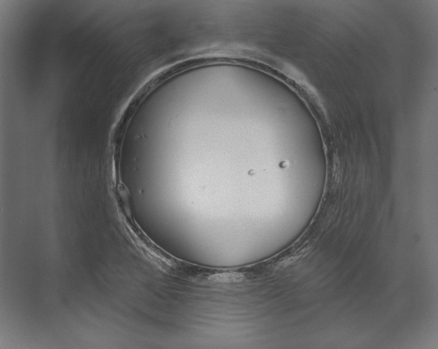 X0000073711368200608241432