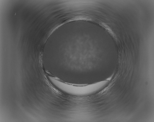 X0000073711369200608241432